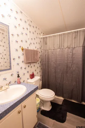 a bathroom with a sink a toilet and shower curtain