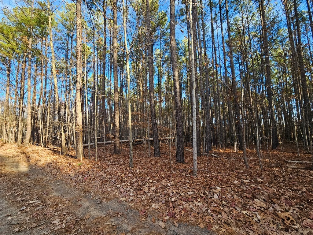 657 Spencer Road, Unit 12 Dillwyn, VA 23936 - Photo 13 of 14 Gallery Image 13