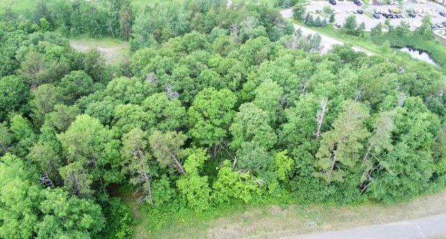 Tbd Excelsior Road Baxter, MN 56425 - Photo 8 of 9