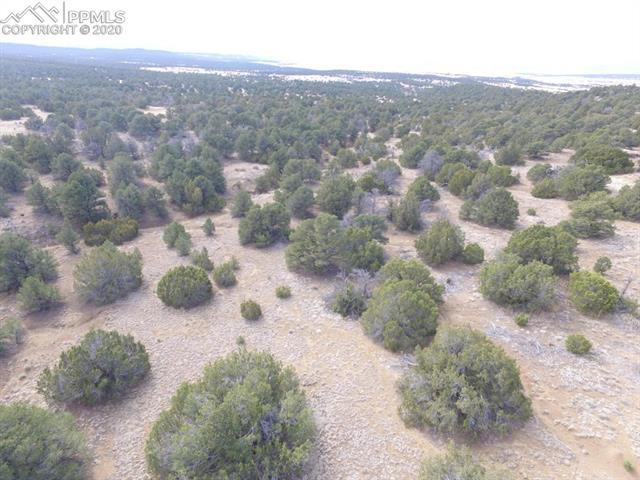 Lot 111 River Ridge Ranch Walsenburg, CO 81089 - Photo 7 of 15