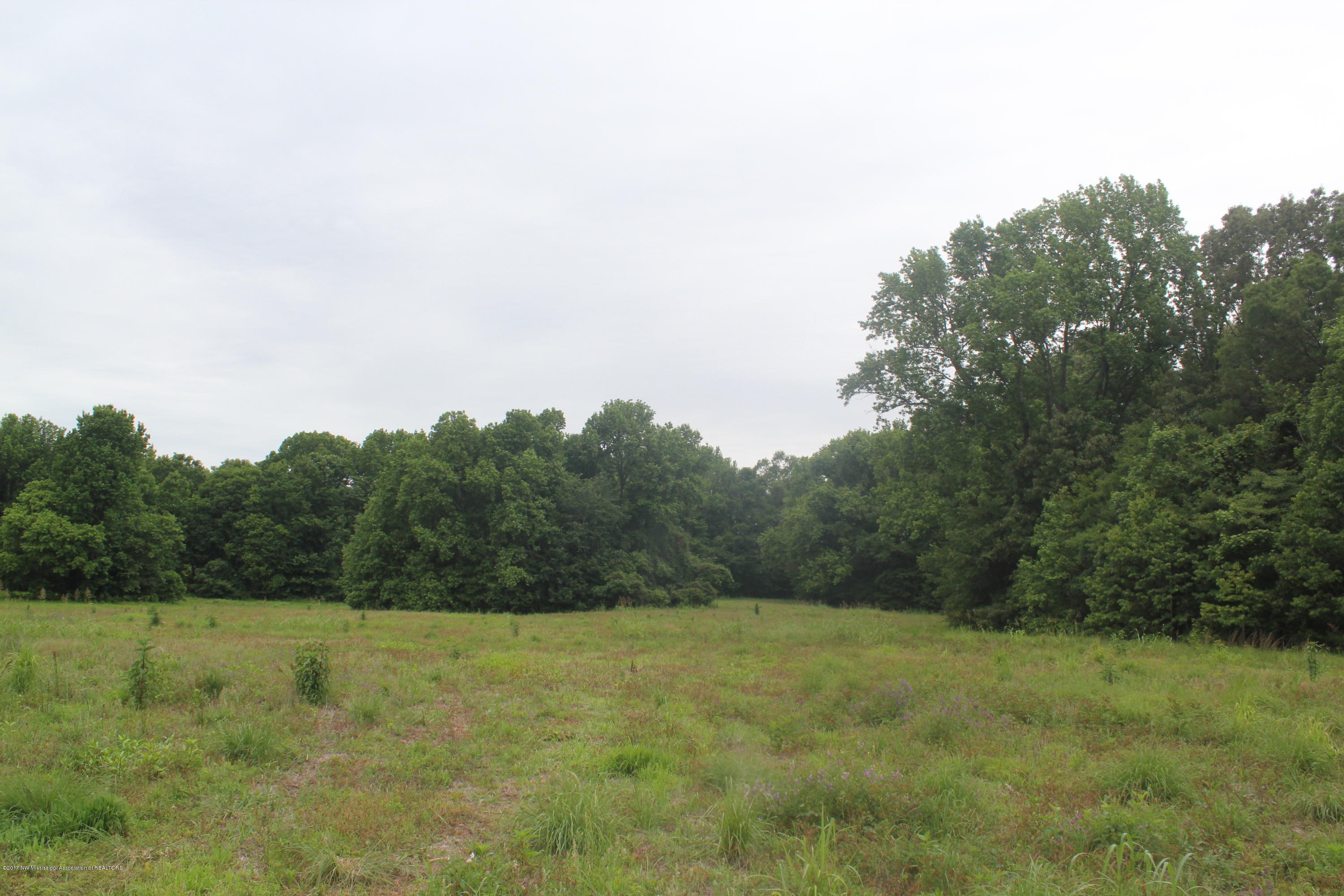 5 Clifton Road Hernando, MS 38632 - Photo 23 of 41 IMG_6299