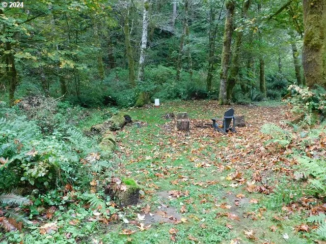 $50,000 | 71868 North Shore Drive, Birkenfeld, OR 97016