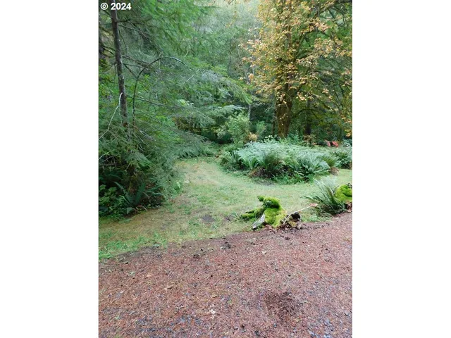 $50,000 | 71868 North Shore Drive, Birkenfeld, OR 97016