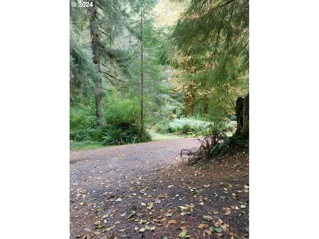 $50,000 | 71868 North Shore Drive, Birkenfeld, OR 97016