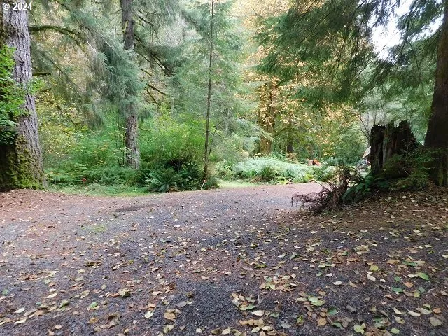 $50,000 | 71868 North Shore Drive, Birkenfeld, OR 97016