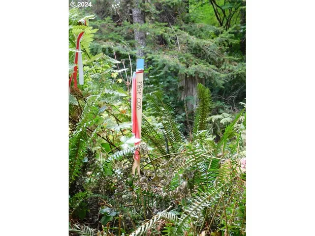 $50,000 | 71868 North Shore Drive, Birkenfeld, OR 97016