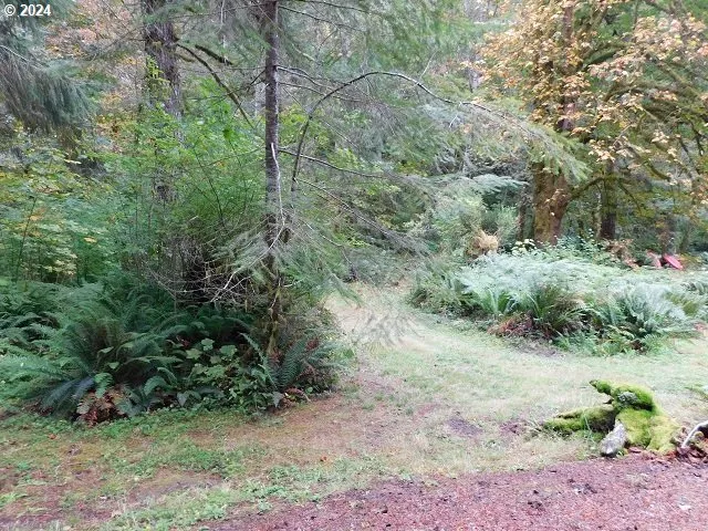 $50,000 | 71868 North Shore Drive, Birkenfeld, OR 97016