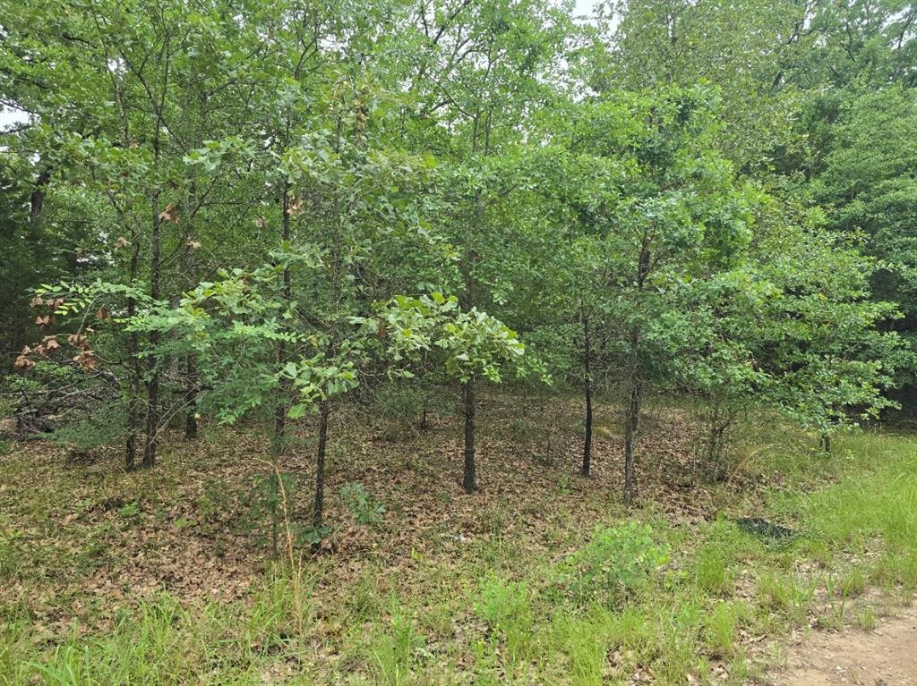 Lot 1007 Kickapoo Trail Mabank, TX 75156 - Photo 2 of 7 a view of a green field with lots of bushes