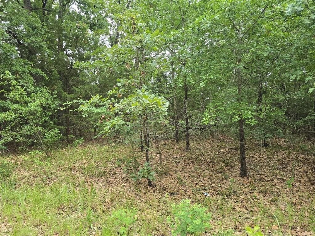 Lot 1007 Kickapoo Trail Mabank, TX 75156 - Photo 4 of 7 a view of a green field with lots of bushes