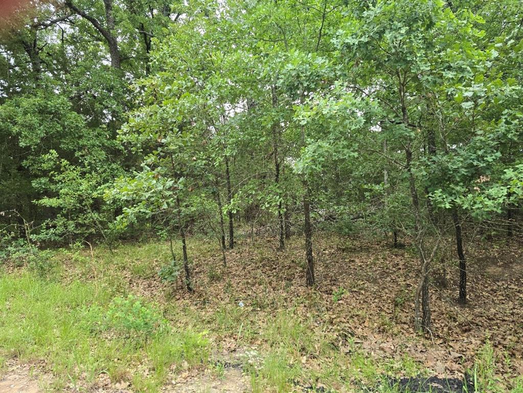 Lot 1007 Kickapoo Trail Mabank, TX 75156 - Photo 6 of 7 a view of a green field with lots of bushes