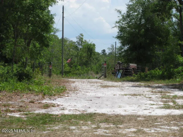 a view of a yard with a tree