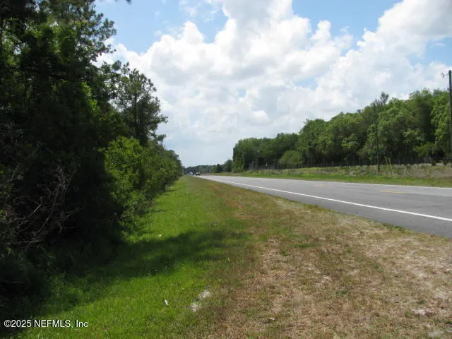 a view of a yard with a tree