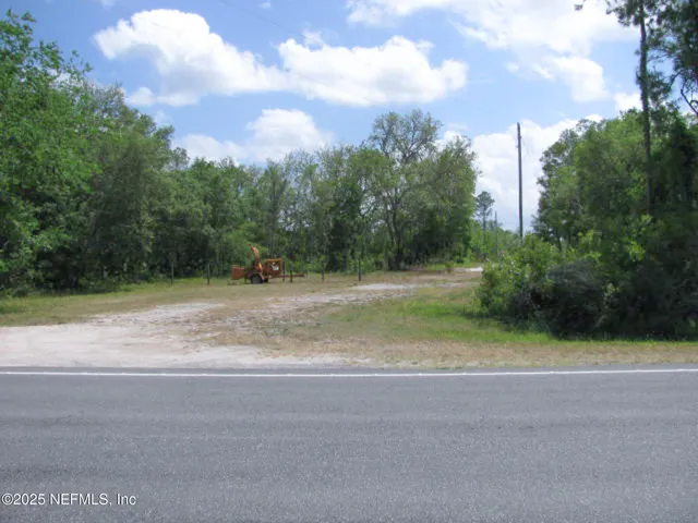 a view of a yard with plants and trees