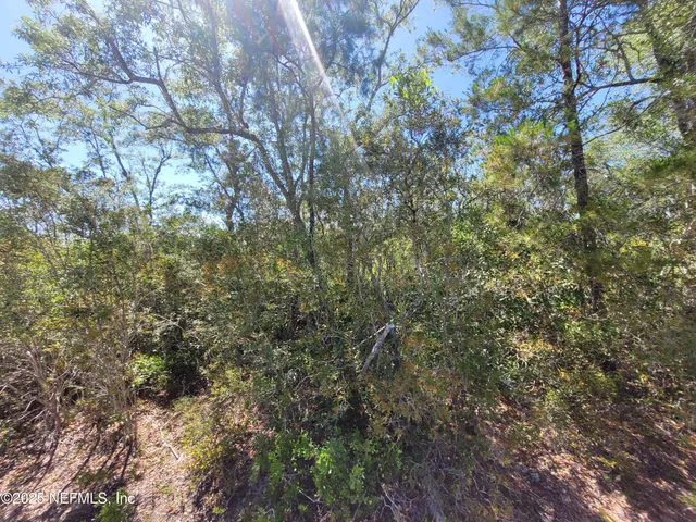 $1,599,000 | 2155 Highway 40, De Leon Springs, FL 32130