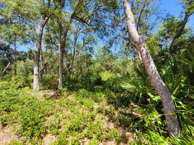 $1,599,000 | 2155 Highway 40, De Leon Springs, FL 32130