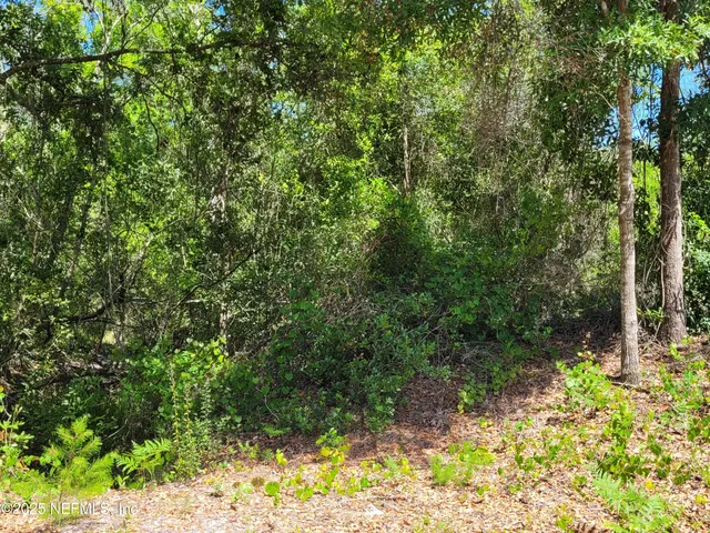 $1,599,000 | 2155 Highway 40, De Leon Springs, FL 32130