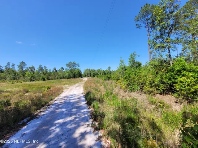 a view of a yard with a tree