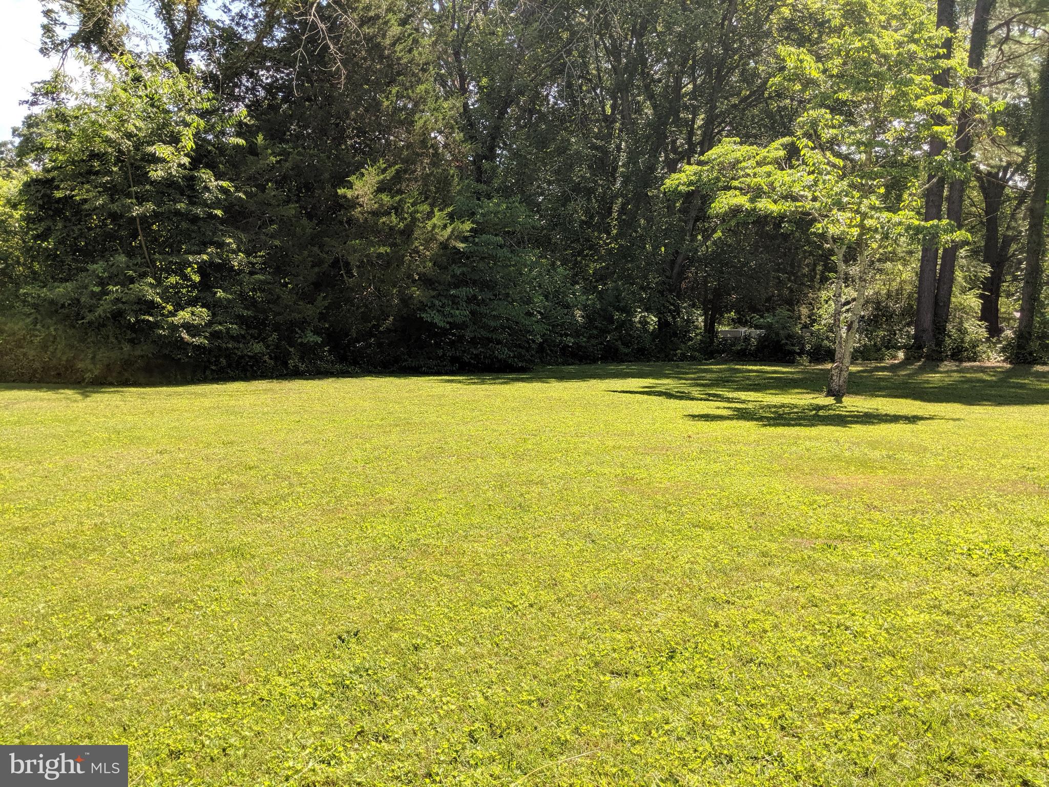 17227 Oakshade Road Orange, VA 22960 - Photo 11 of 28 Back yard