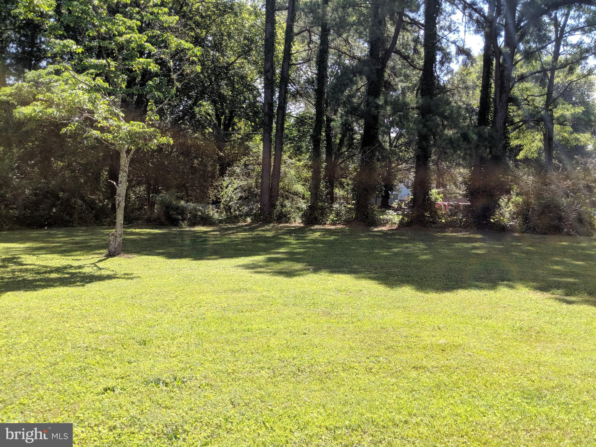 17227 Oakshade Road Orange, VA 22960 - Photo 10 of 28 Back yard