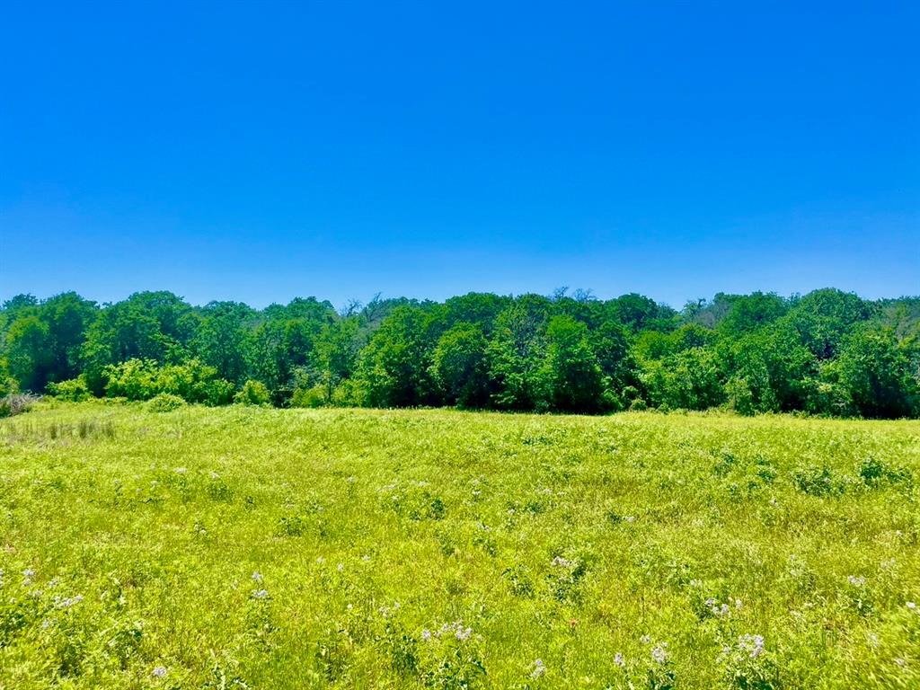Lot 19 Kilkenny Road Poolville, TX 76487 - Photo 2 of 18 View of local wilderness with a rural view