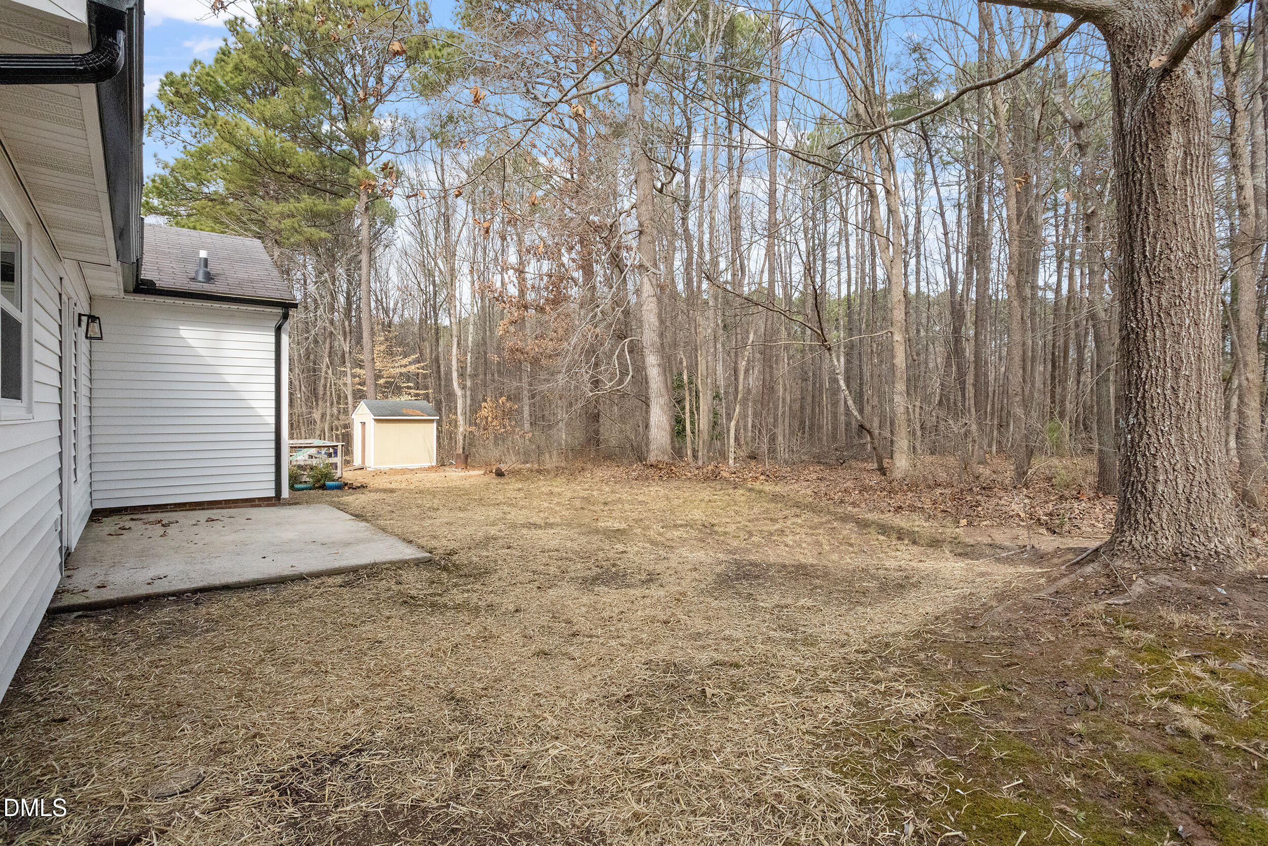 2020 Collier Road Durham, NC 27707 - Photo 28 of 32 a view of backyard and tree