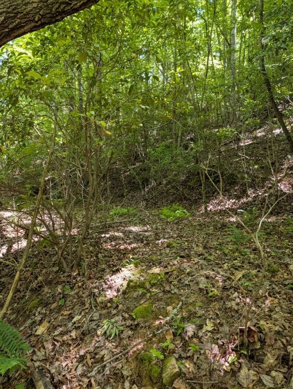 0 Talc Mine Road Murphy, NC 28906 - Photo 2 of 8 Gallery Image 2