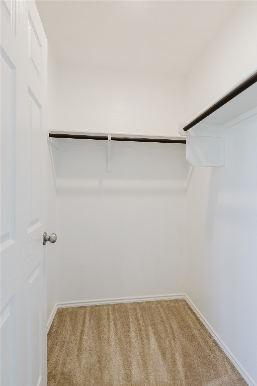 529 Gray Hawk Ridge Leander, TX 78641 - Photo 30 of 36 Spacious closet featuring carpet flooring