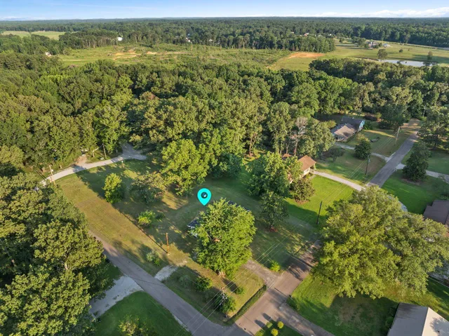an aerial view of residential houses with outdoor space and trees