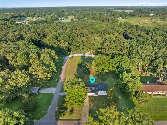 a view of a green yard with large trees