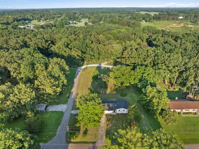 an aerial view of forest