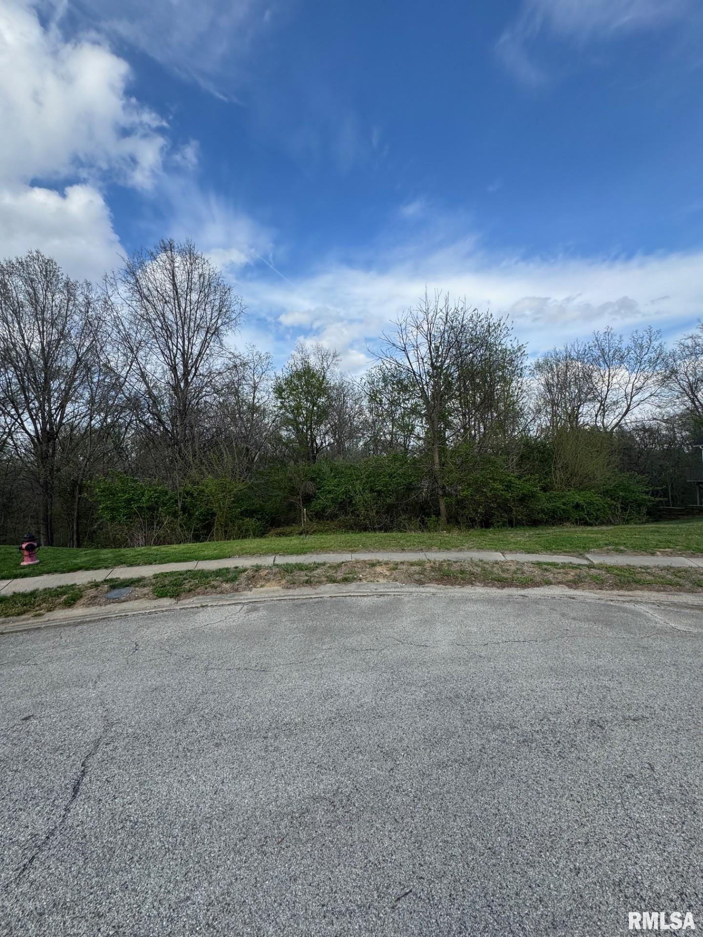 4 Riverwood Drive Rochester, IL 62563 - Photo 3 of 8