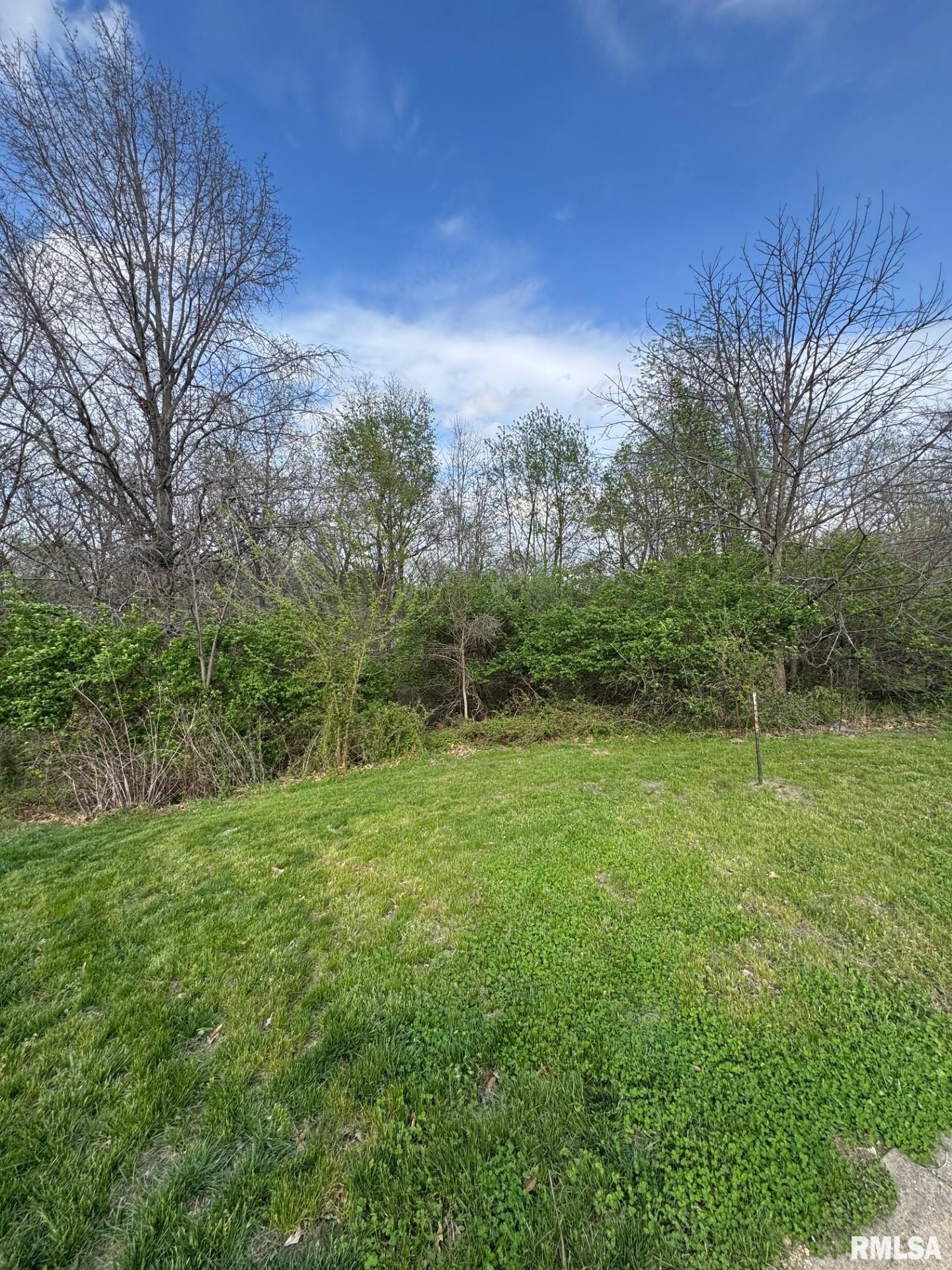 4 Riverwood Drive Rochester, IL 62563 - Photo 4 of 8