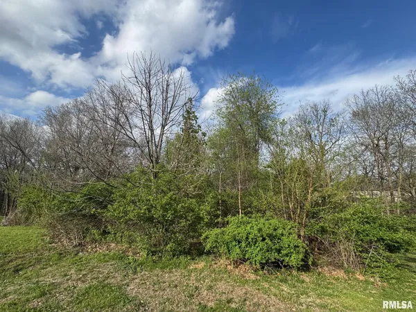 $125,000 | 4 Riverwood Drive, Rochester, IL 62563