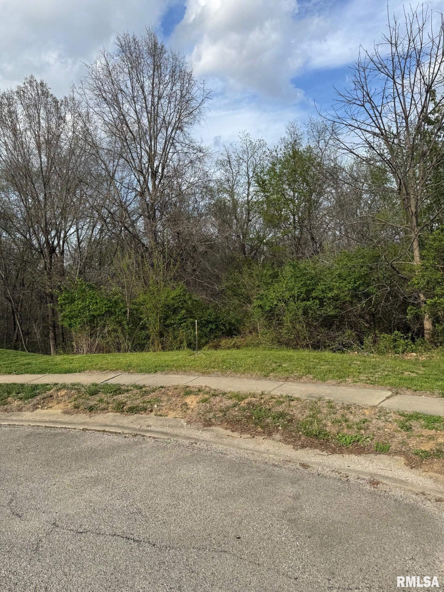 4 Riverwood Drive Rochester, IL 62563 - Photo 6 of 8