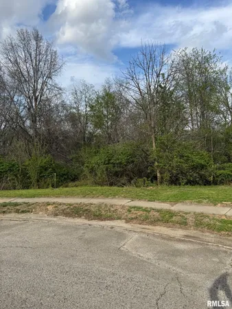 $125,000 | 4 Riverwood Drive, Rochester, IL 62563