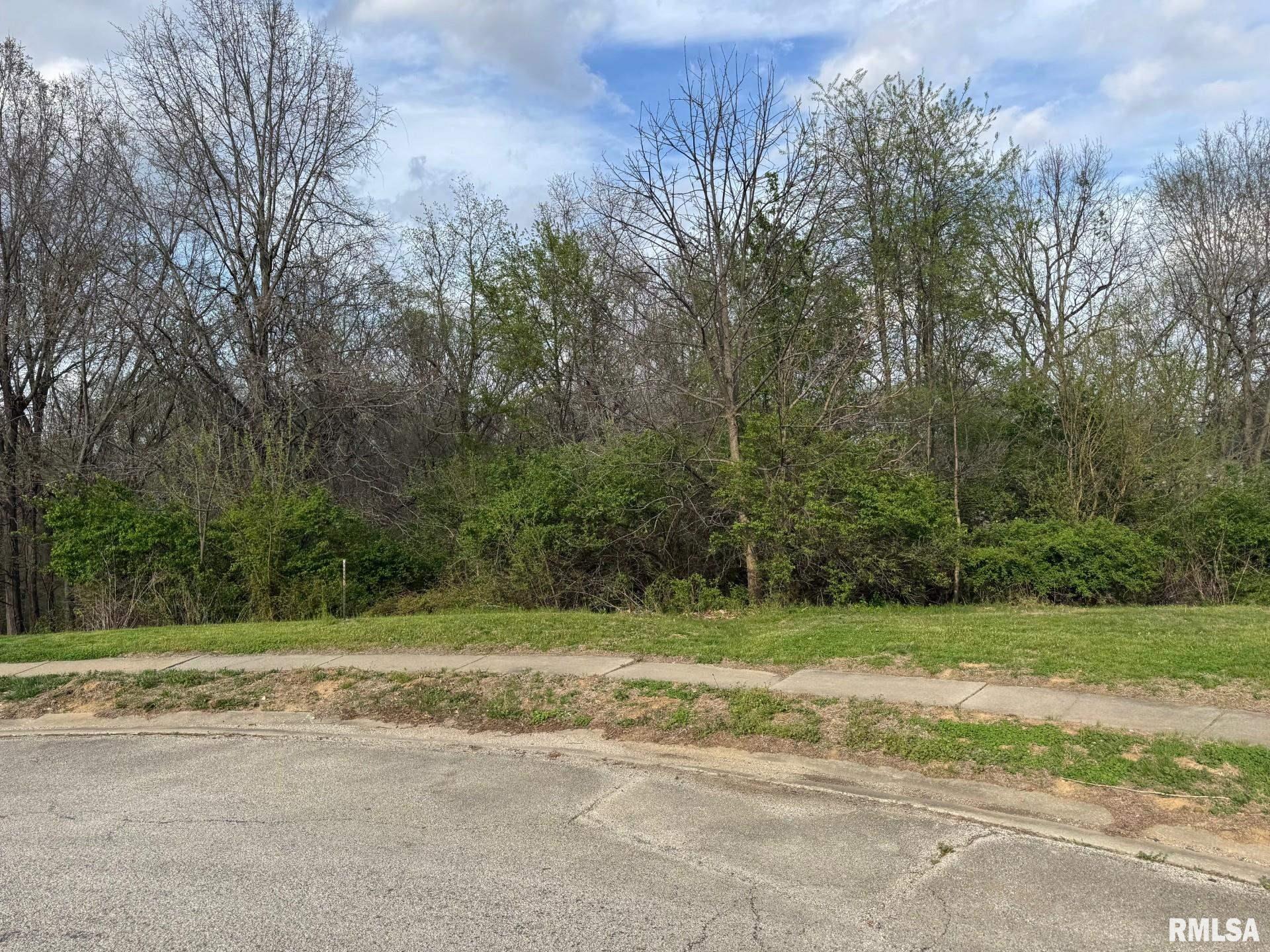 4 Riverwood Drive Rochester, IL 62563 - Photo 8 of 8