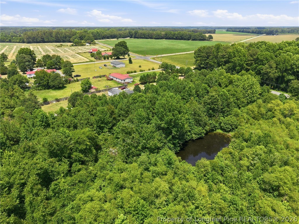 0 Boren Brick Road Roseboro, NC 28382 - Photo 14 of 15