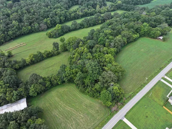 a view of a green yard with a lake