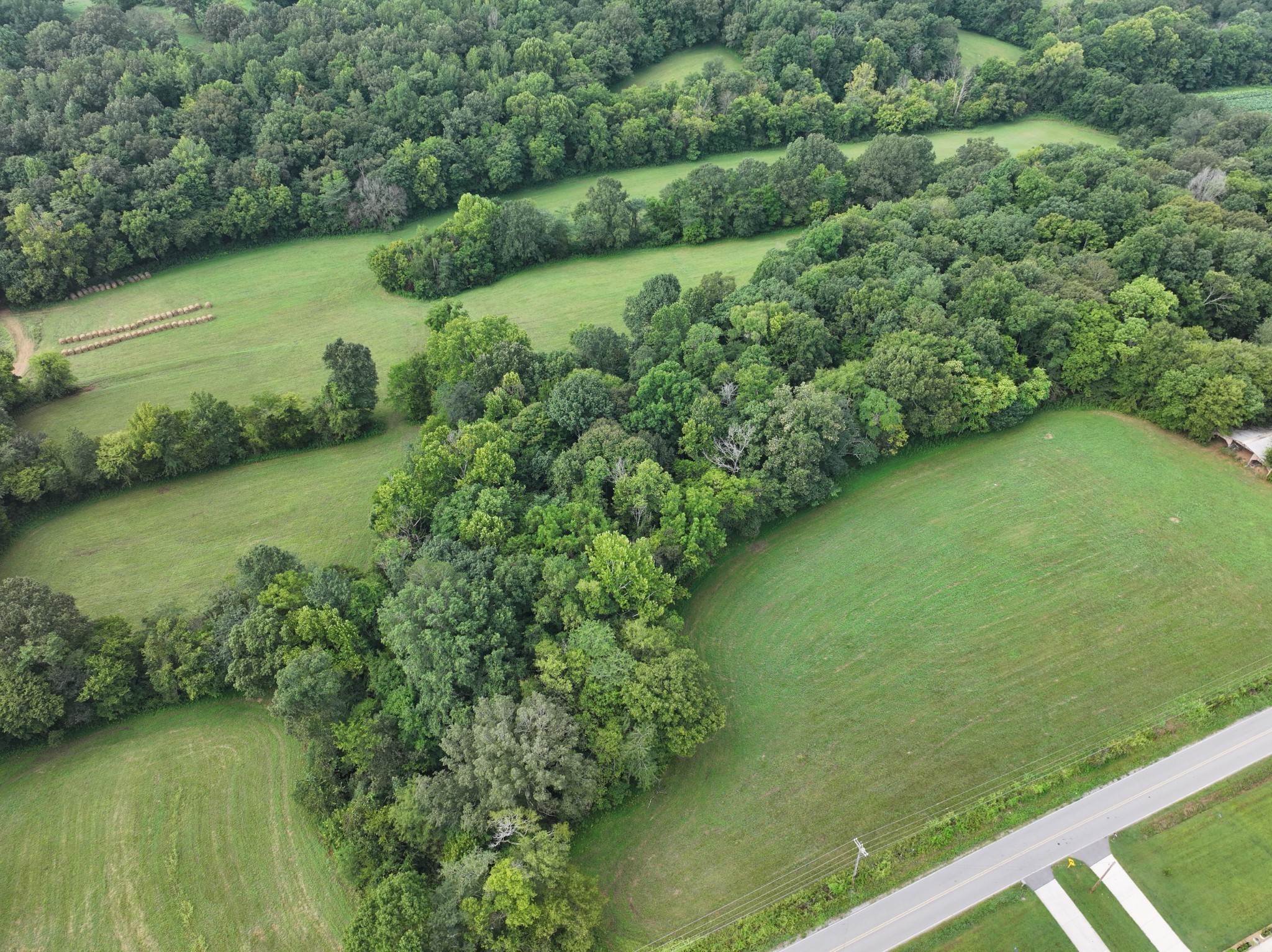 3 Rawlings Road Woodlawn, TN 37191 - Photo 20 of 21 a view of a green yard with a lake