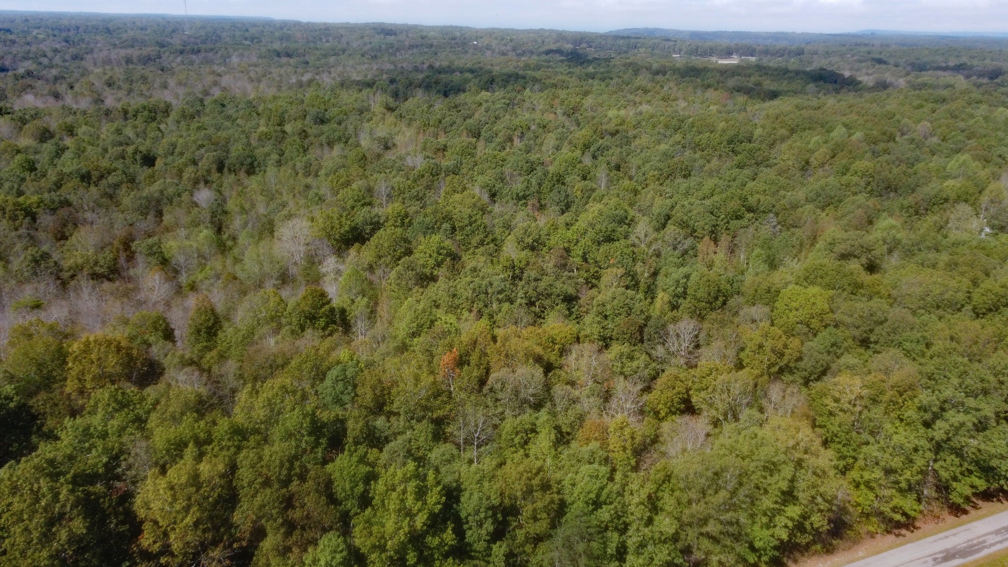0 Ingman Road Tracy City, TN 37387 - Photo 1 of 15 Gallery Image 1