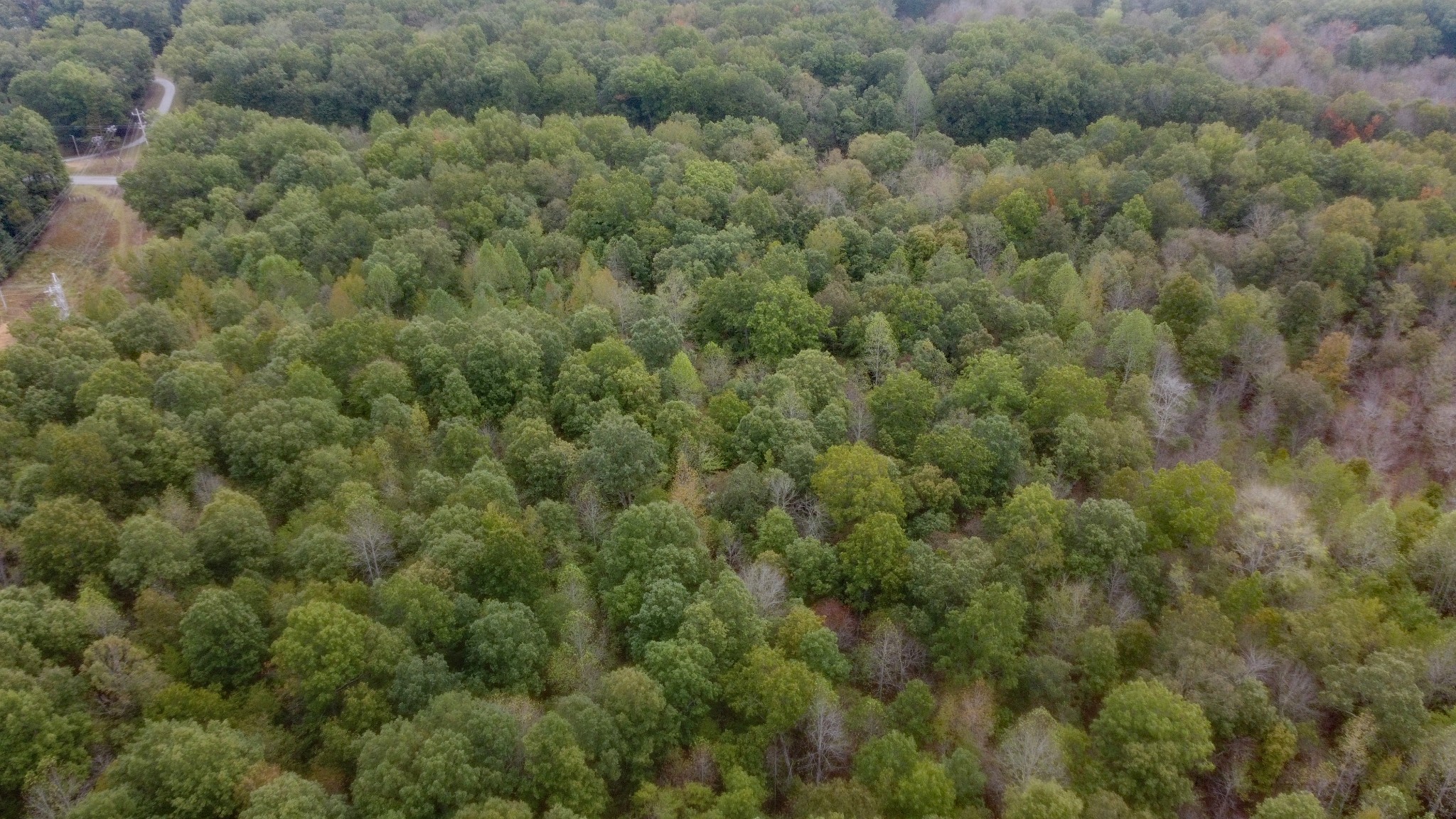 0 Ingman Road Tracy City, TN 37387 - Photo 11 of 15 Gallery Image 11
