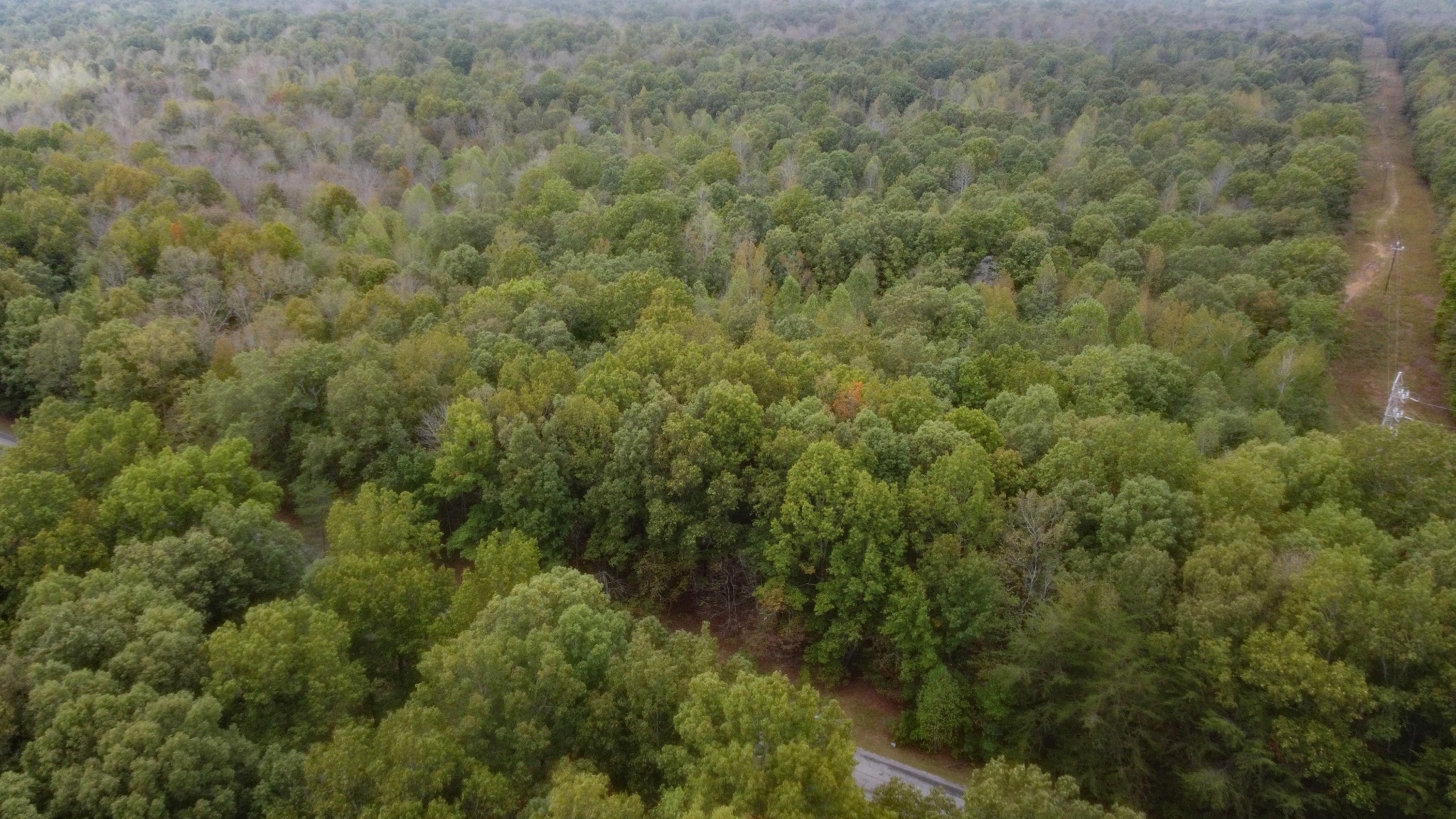 0 Ingman Road Tracy City, TN 37387 - Photo 13 of 15 Gallery Image 13