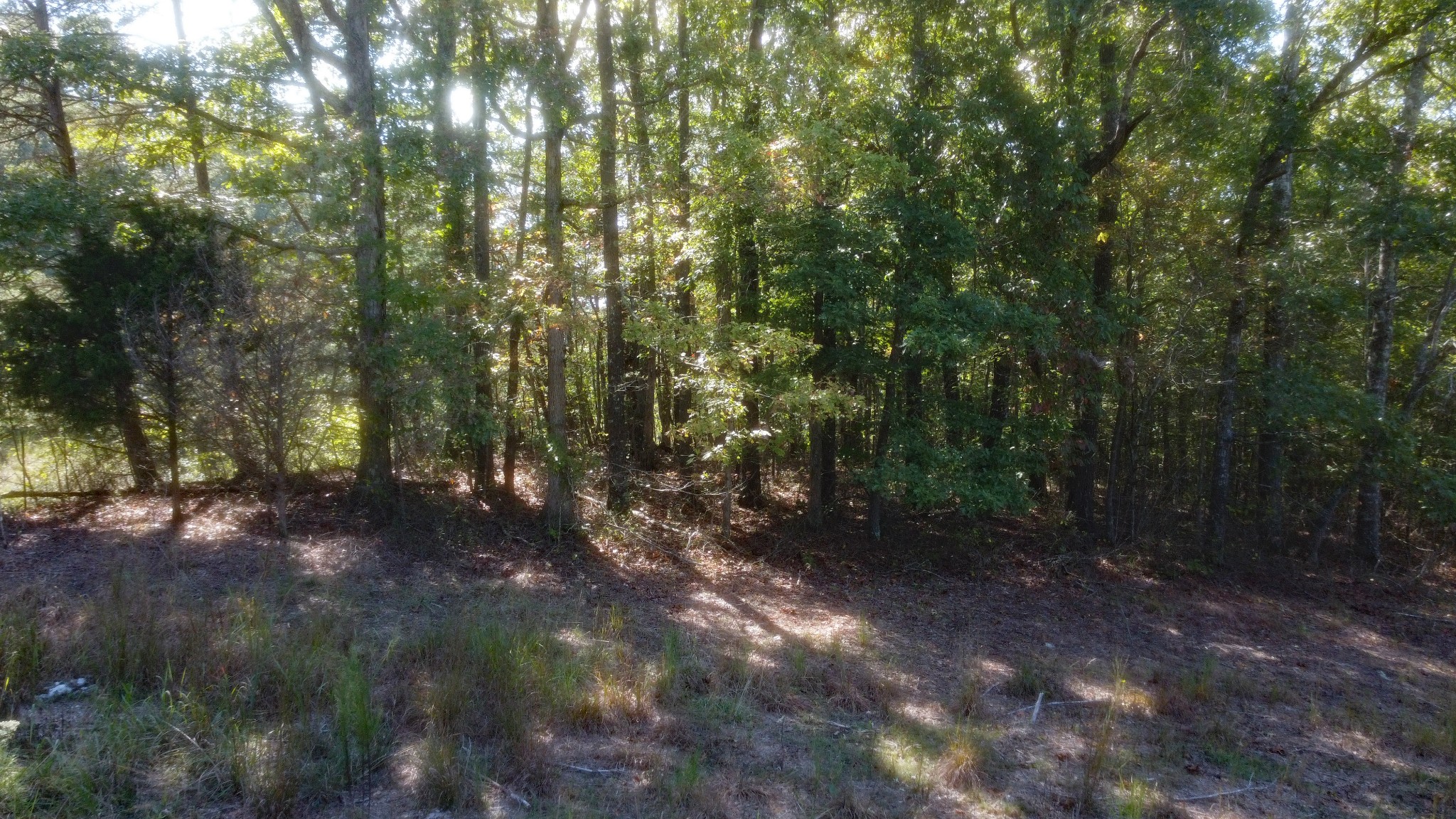 0 Ingman Road Tracy City, TN 37387 - Photo 2 of 15 Gallery Image 2