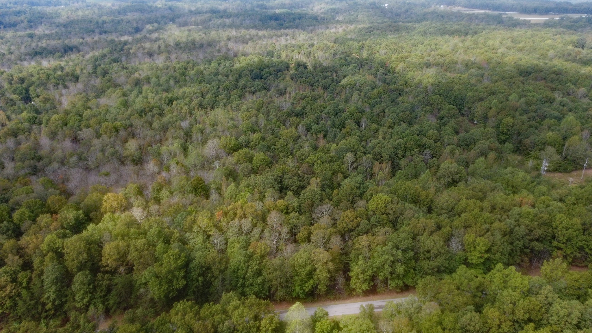 0 Ingman Road Tracy City, TN 37387 - Photo 6 of 15 Gallery Image 6