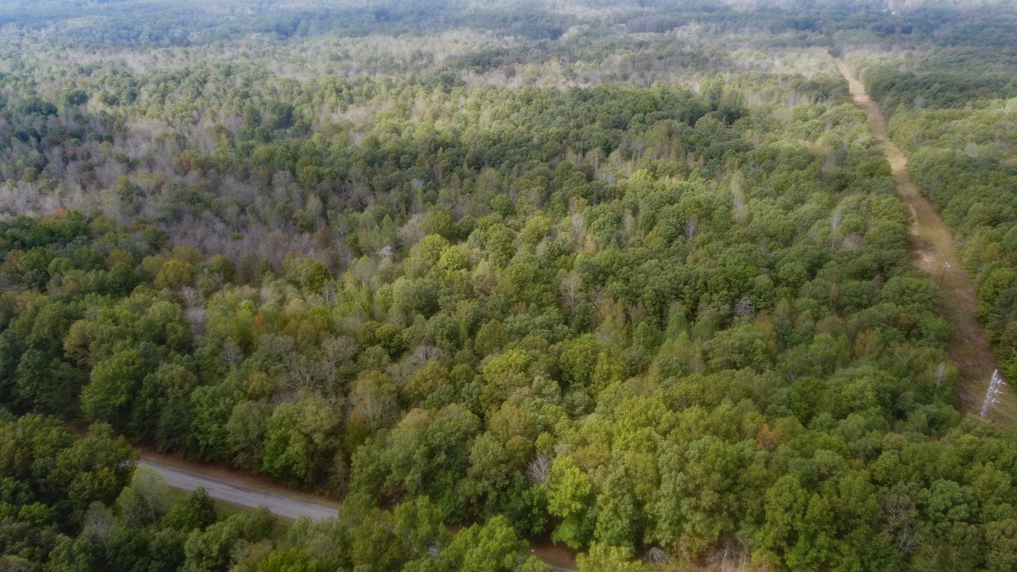 0 Ingman Road Tracy City, TN 37387 - Photo 7 of 15 Gallery Image 7