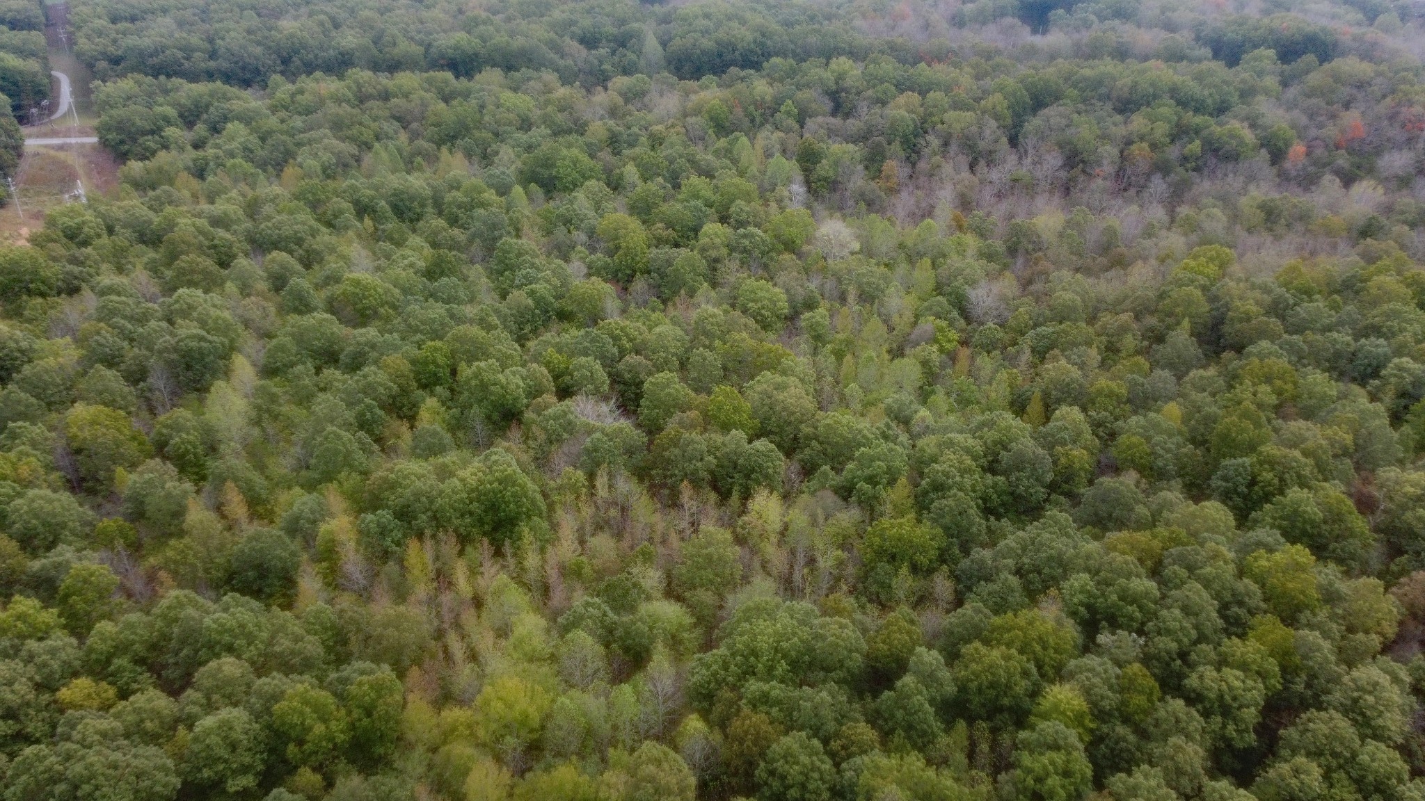 0 Ingman Road Tracy City, TN 37387 - Photo 10 of 15 Gallery Image 10