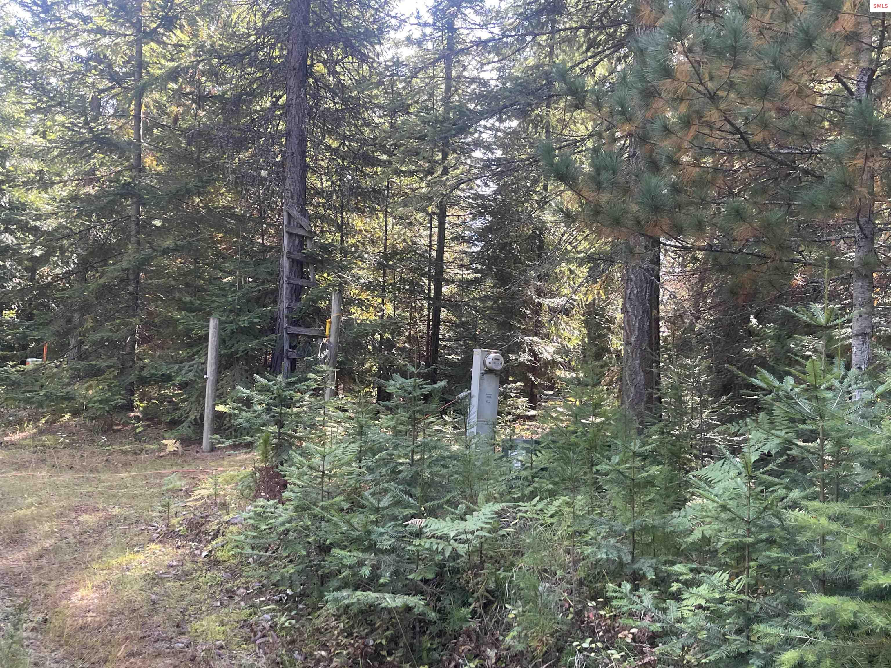 631 Wolverine Road Moyie Springs, ID 83845 - Photo 84 of 87 Electricity