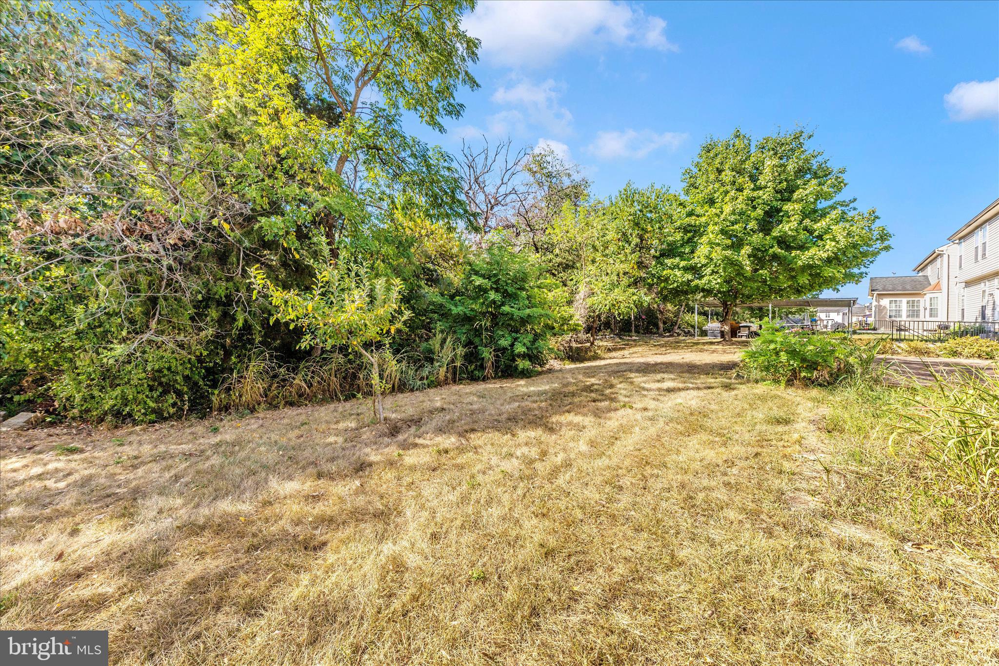 12406 Fallen Timbers Circle Hagerstown, MD 21740 - Photo 45 of 52 a view of a yard with a tree