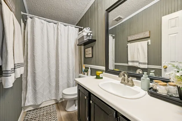 a bathroom with a sink toilet a mirror and shower curtain