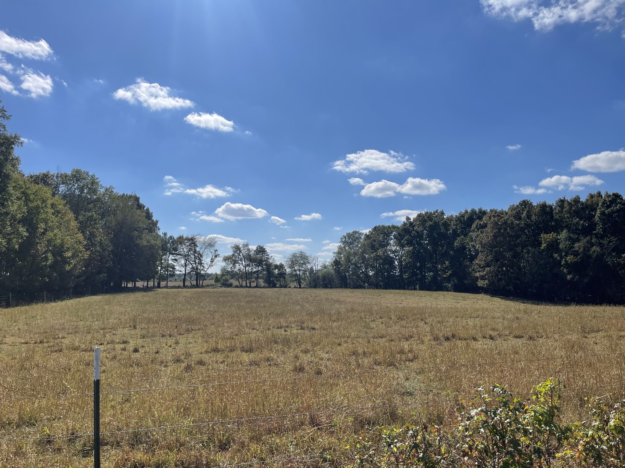 0 Marks Branch Road Leoma, TN 38468 - Photo 5 of 7